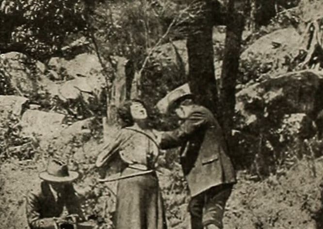 The Bushranger's Bride