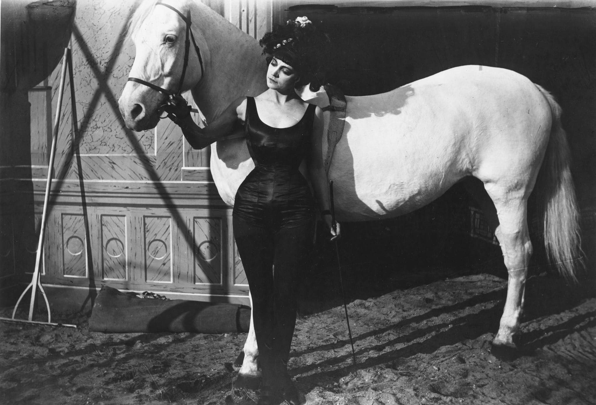 Den sorte drøm photo