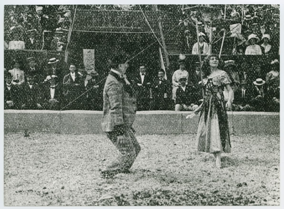 Saved in Mid-Air photo