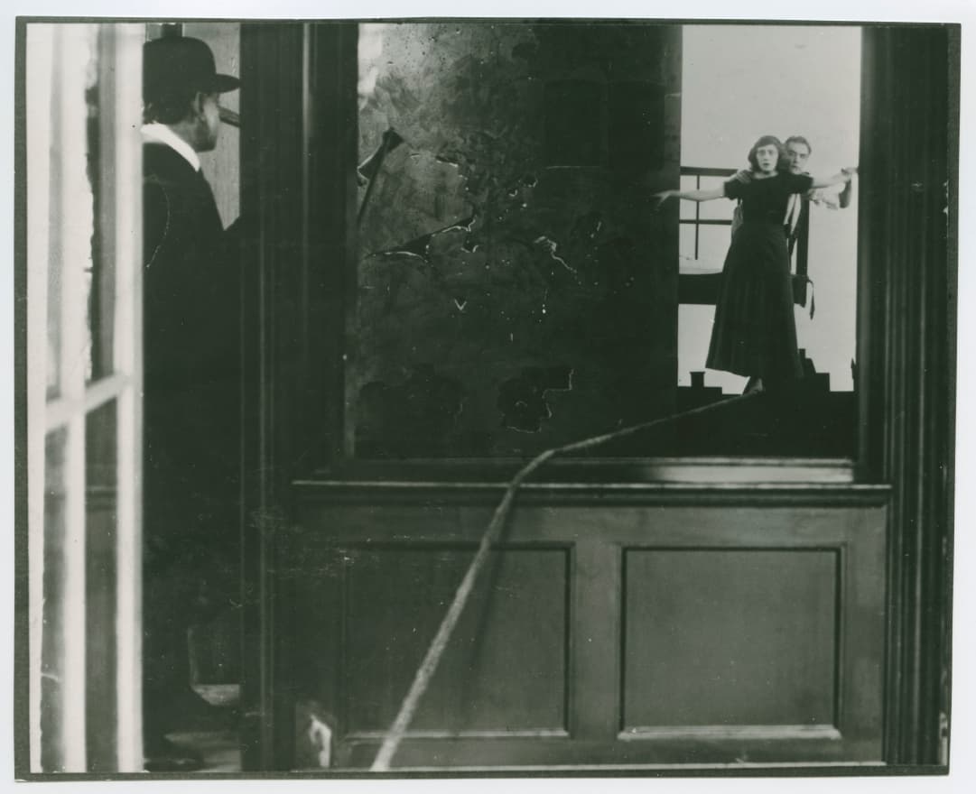 Saved in Mid-Air photo