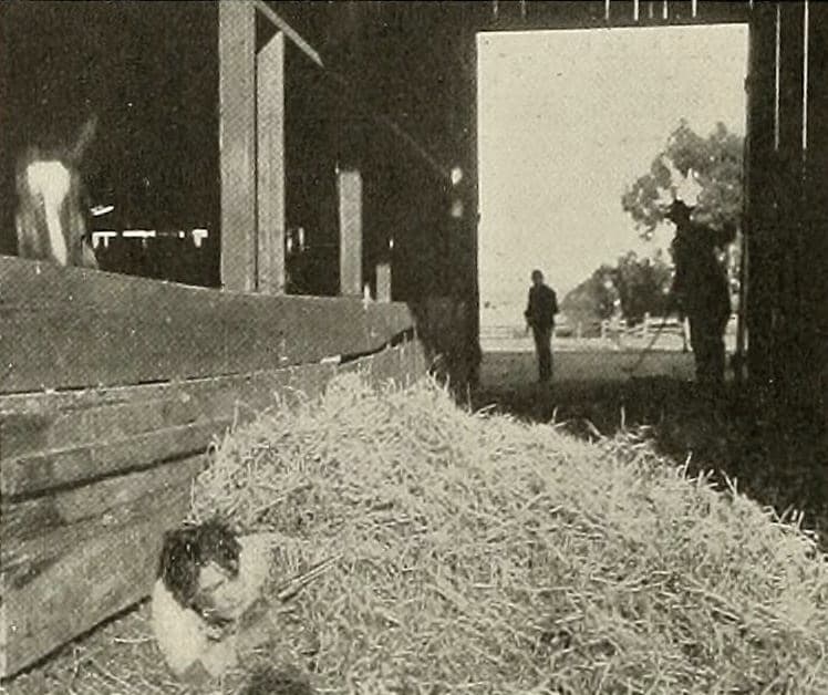 The Battle of Gettysburg photo