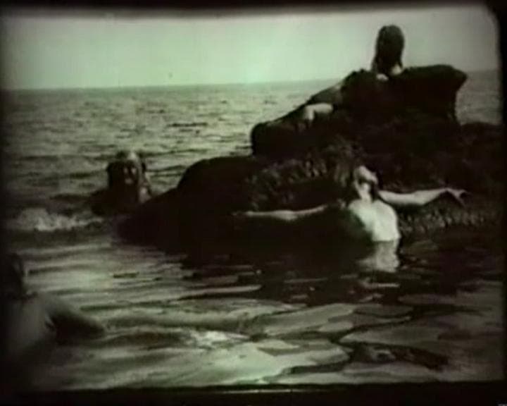 Die Insel der Seligen photo