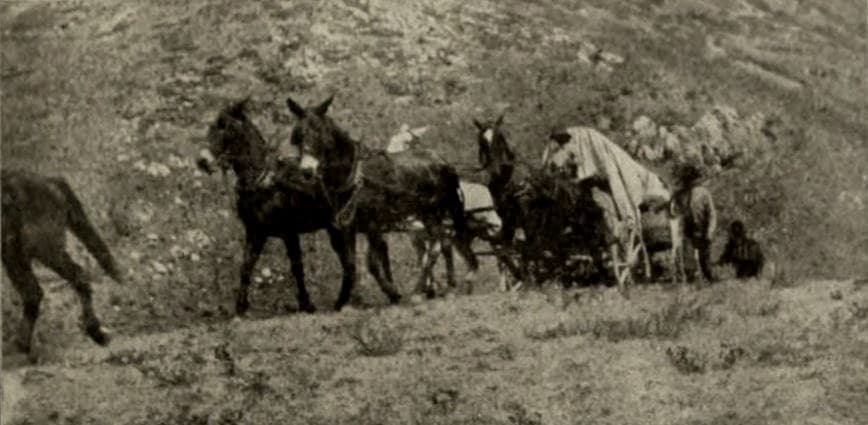 One Hundred Years of Mormonism photo