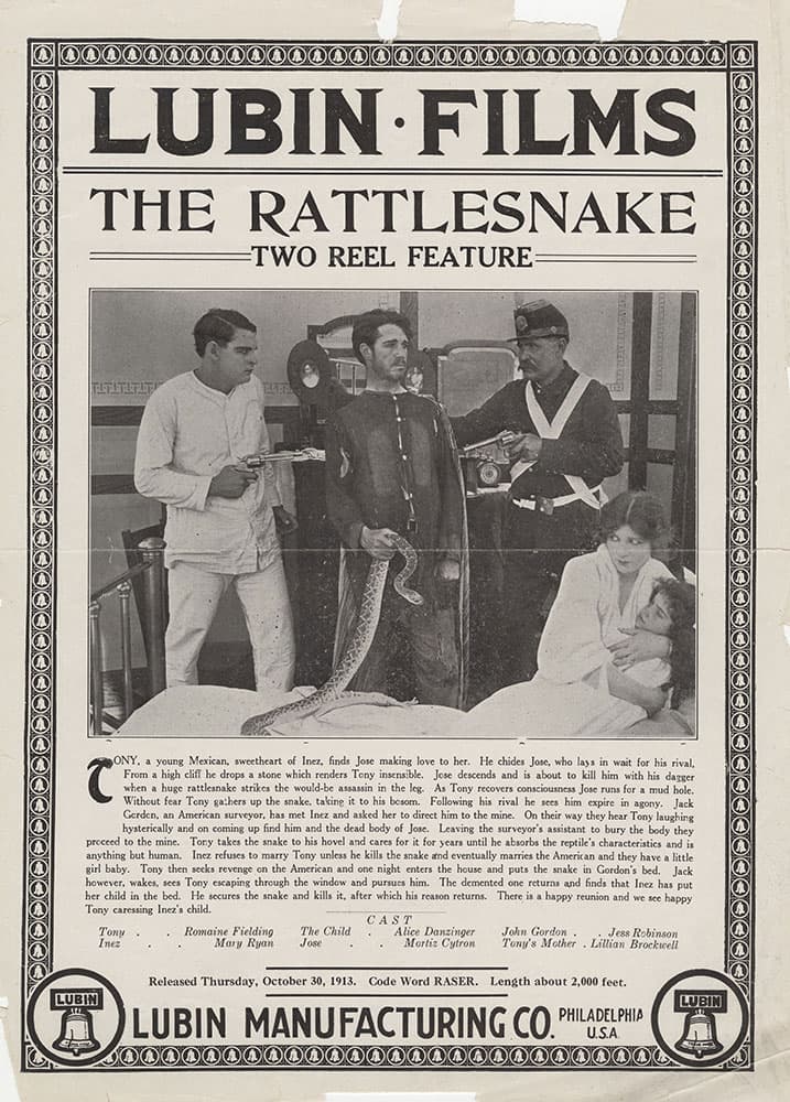 The Rattlesnake photo