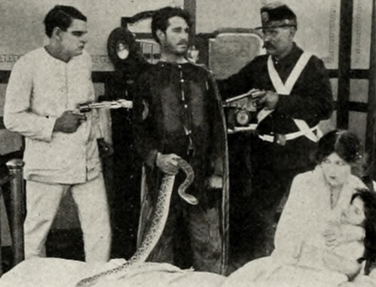 The Rattlesnake photo