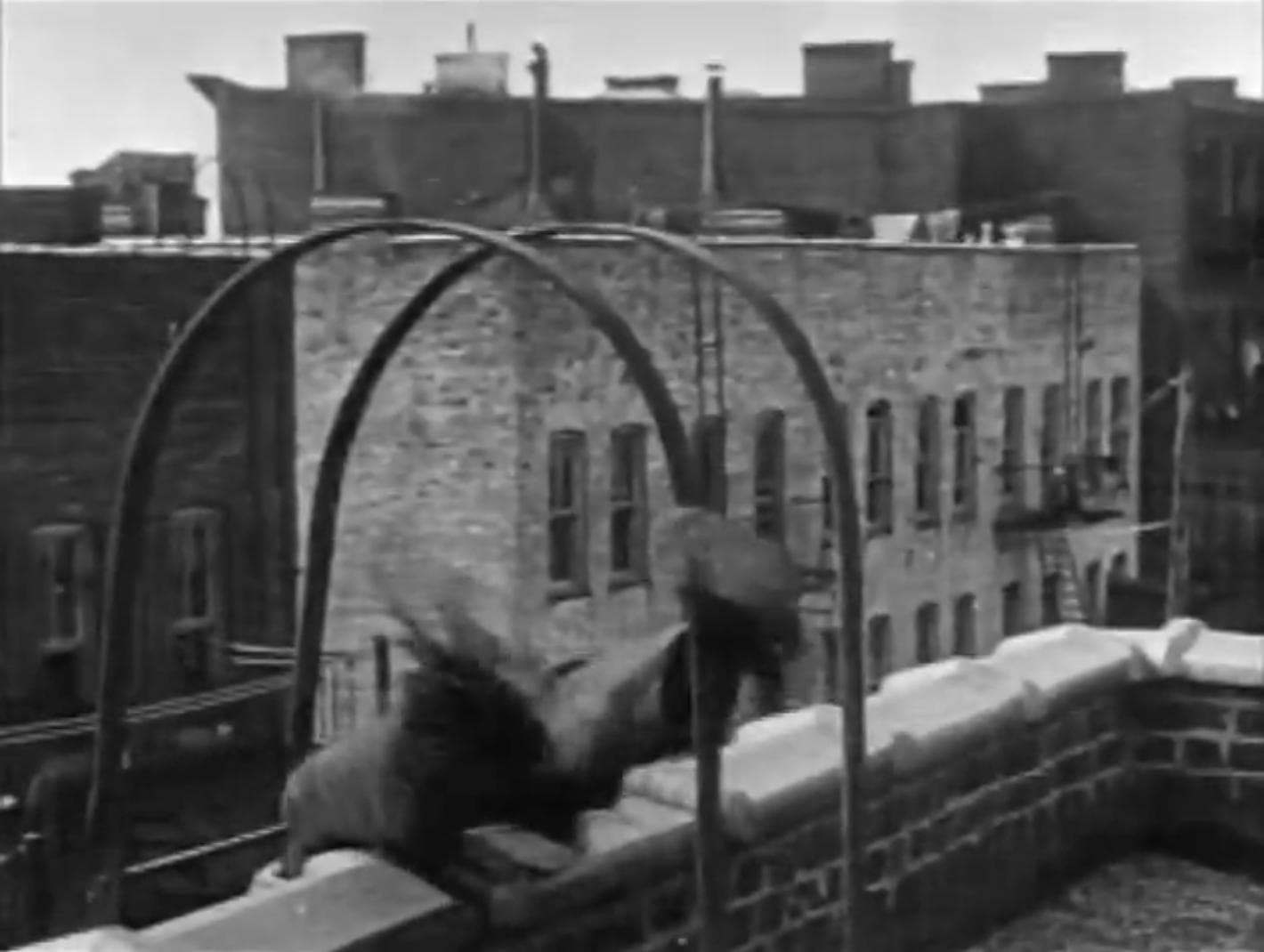 Traffic in Souls photo