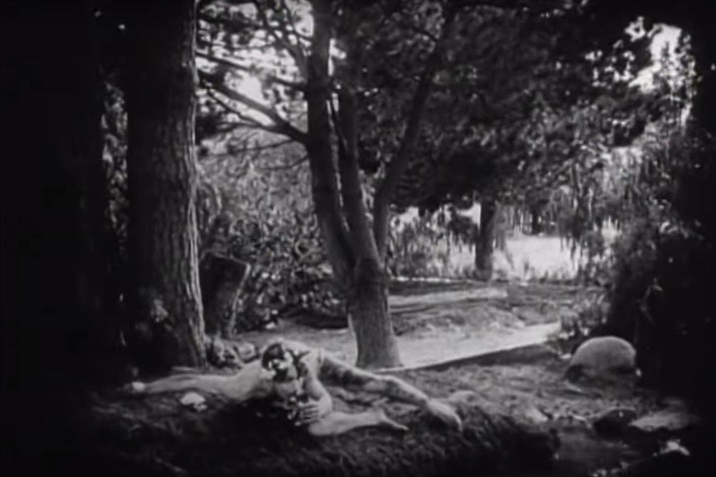 The Avenging Conscience: or 'Thou Shalt Not Kill' photo