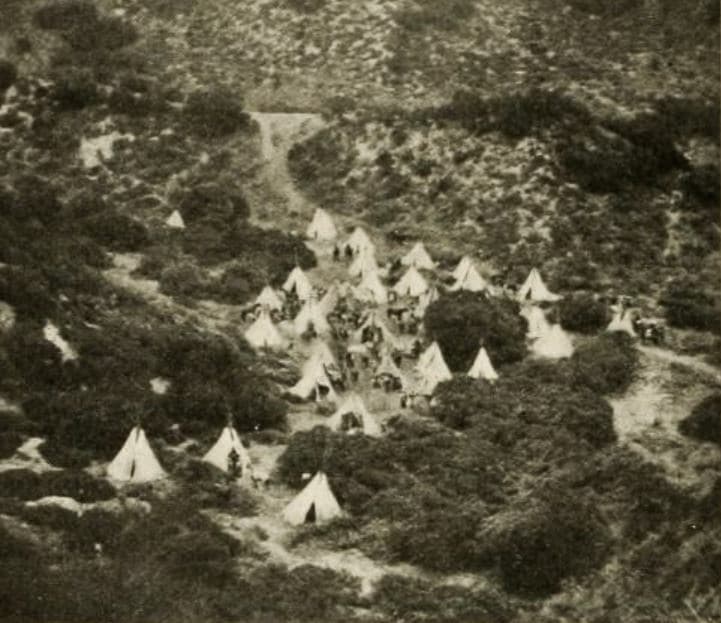 In the Days of the Thundering Herd photo