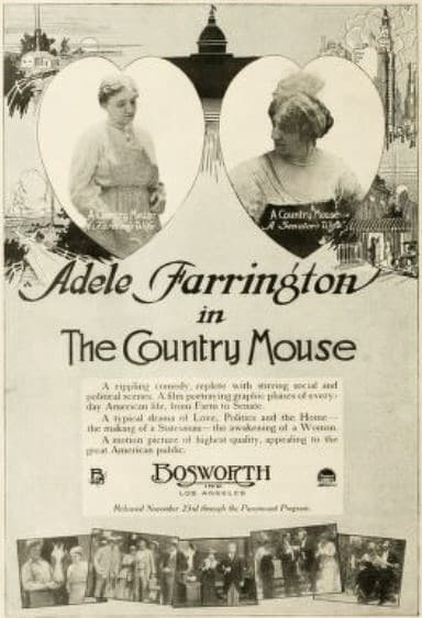 The Country Mouse photo