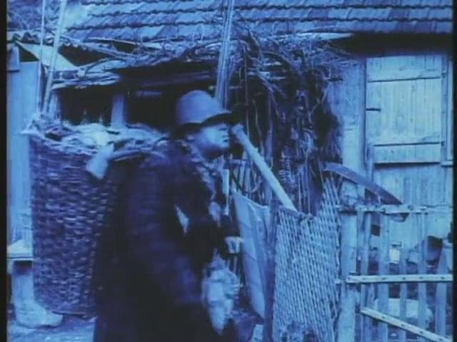 The Child of Paris photo