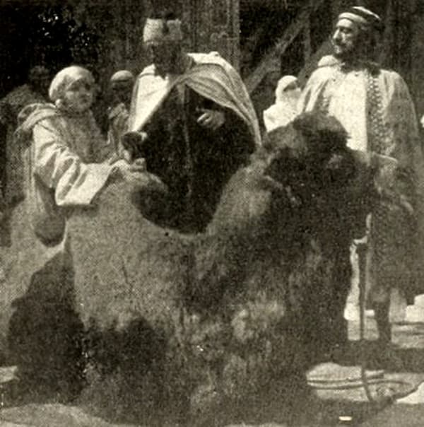 Fire and Sword photo