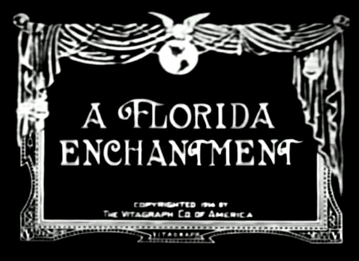 A Florida Enchantment photo