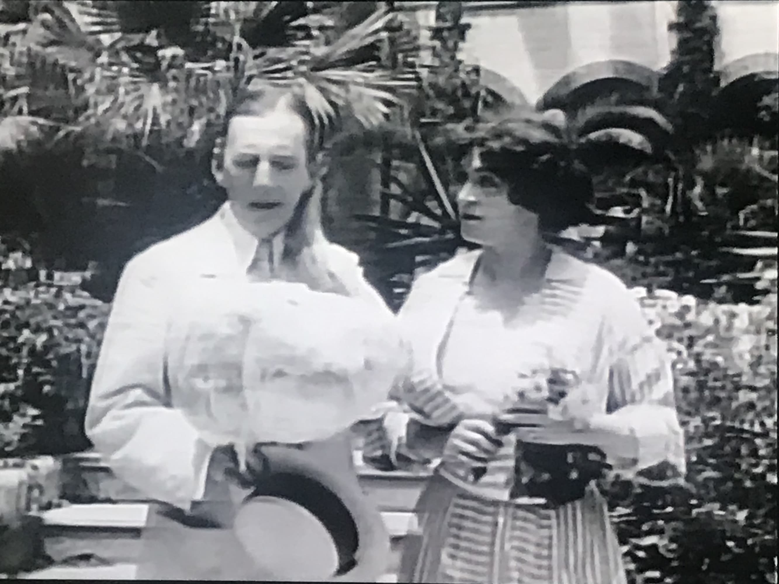 A Florida Enchantment photo