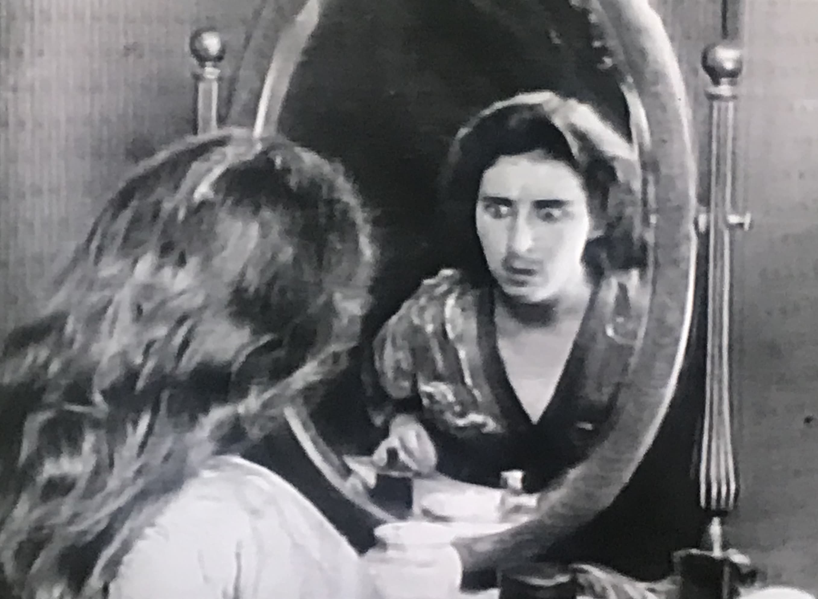 A Florida Enchantment photo