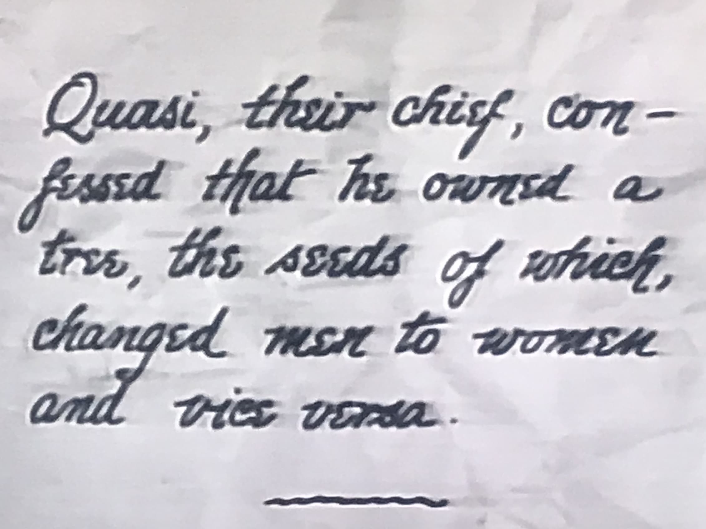 A Florida Enchantment photo