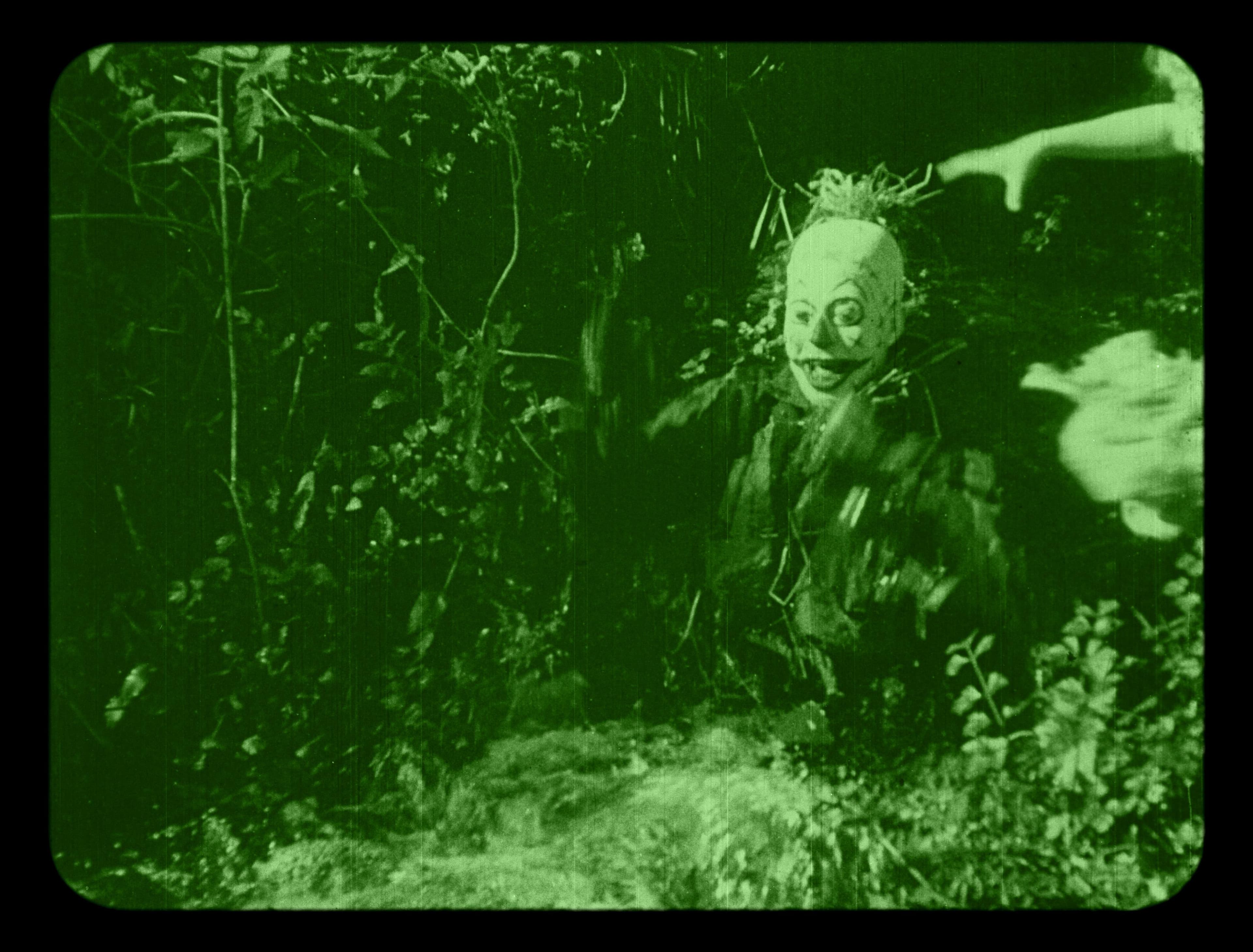 His Majesty, the Scarecrow of Oz photo