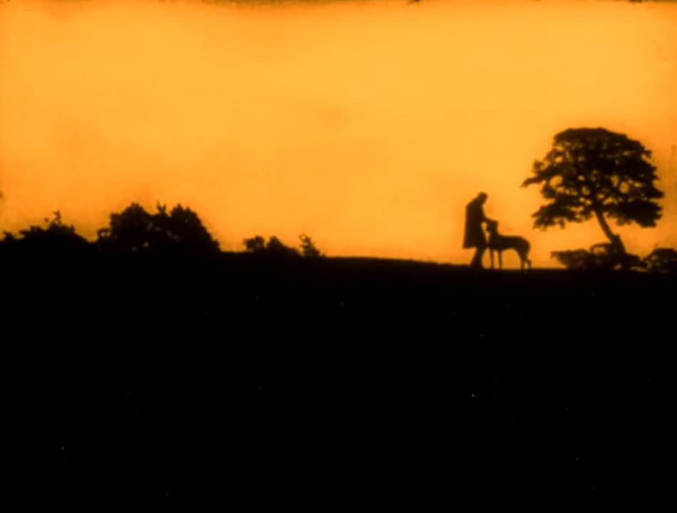 Der Hund von Baskerville photo