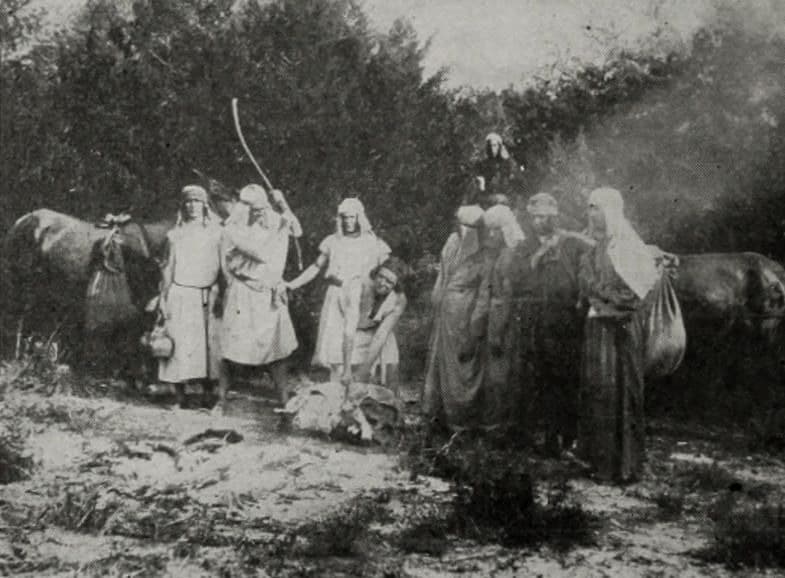 Joseph and His Coat of Many Colors photo