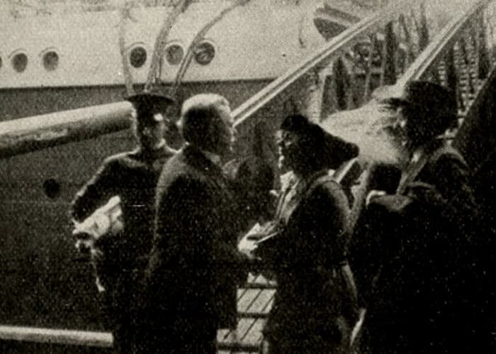 The Lion and the Mouse photo