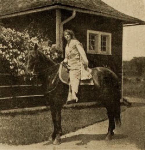 The Million Dollar Mystery photo