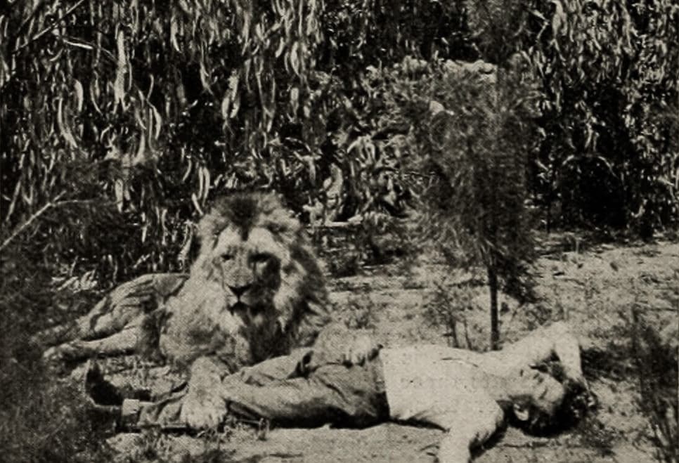 The Mysterious Man of the Jungle