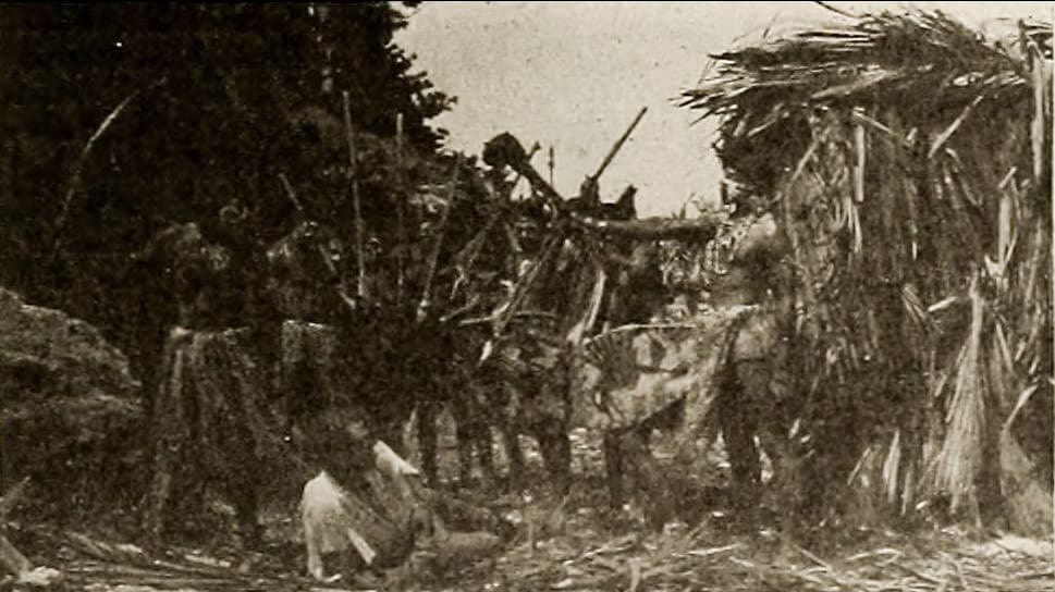 The Mystery of the Poison Pool