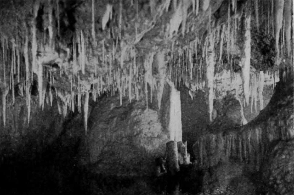 Neptune's Daughter photo