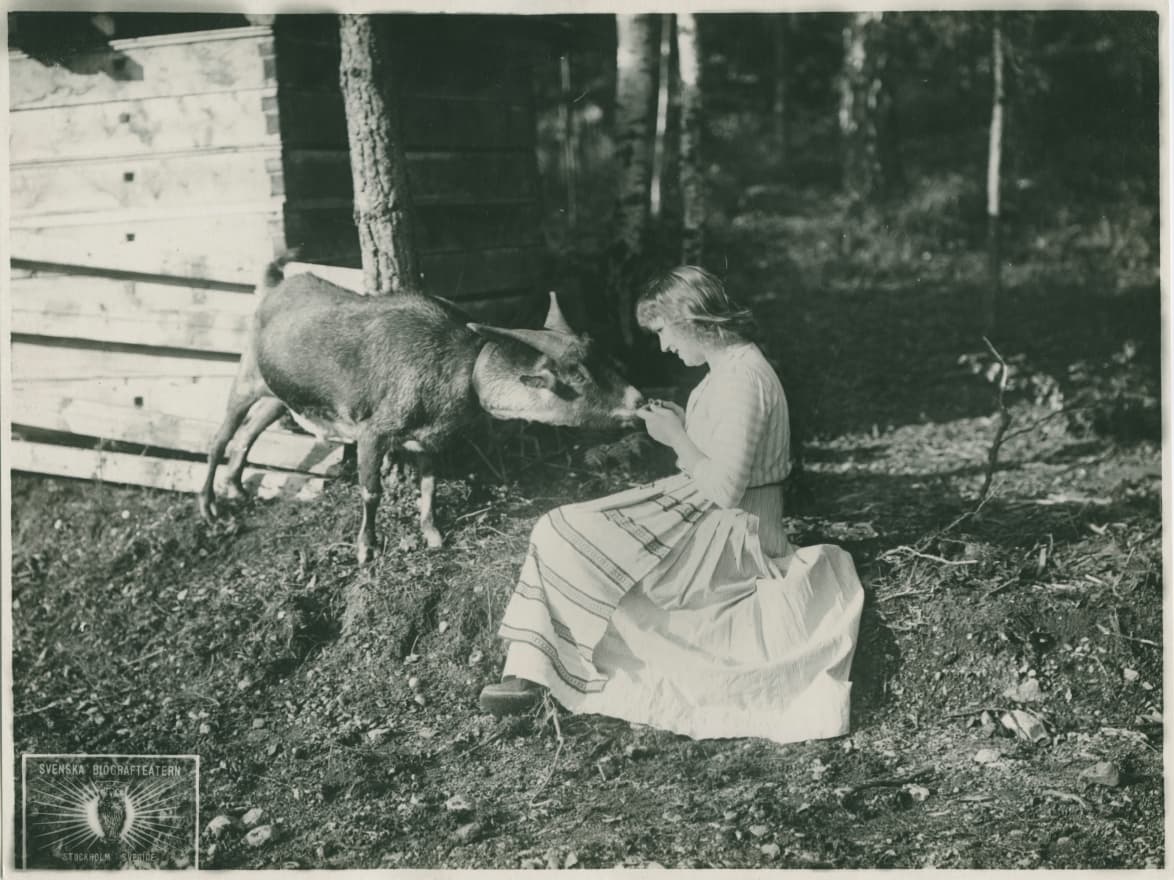 Saints and Sorrows photo