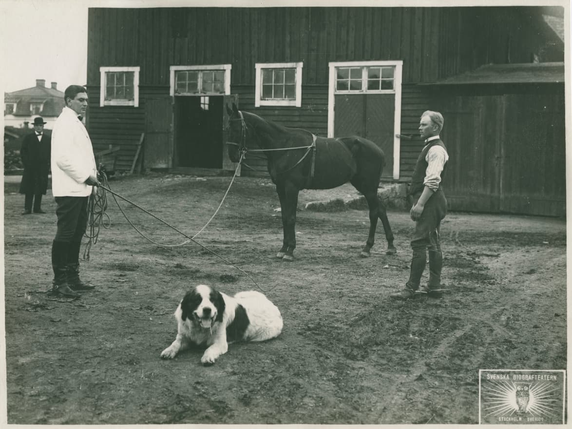 Saints and Sorrows photo