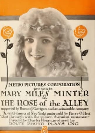 Rose of the Alley