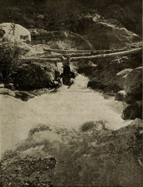 The Trey o' Hearts photo