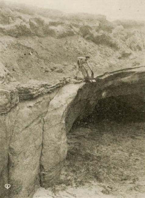 The Trey o' Hearts photo