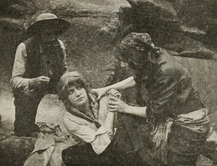 When Fate Leads Trump photo