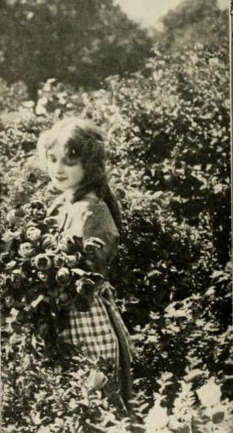 The Wishing Ring: An Idyll of Old England photo