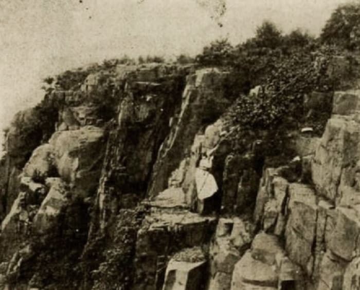 The Yellow Traffic photo