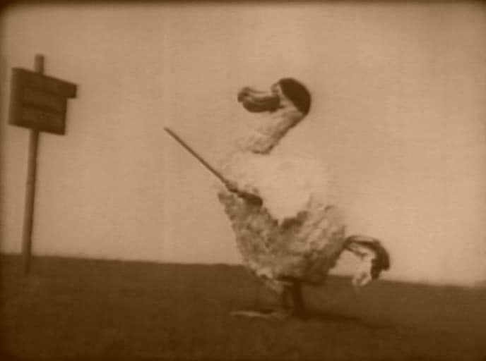 Alice in Wonderland photo