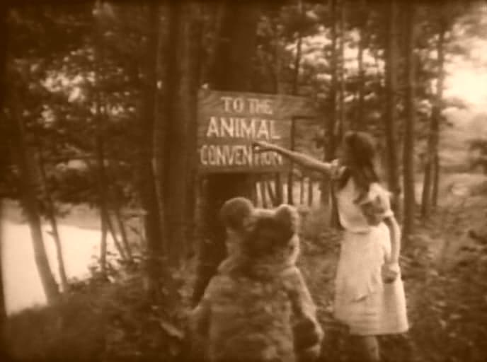 Alice in Wonderland photo