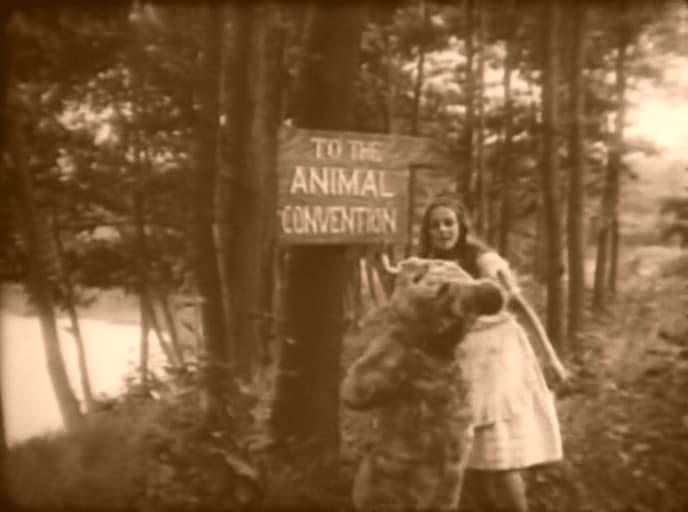 Alice in Wonderland photo