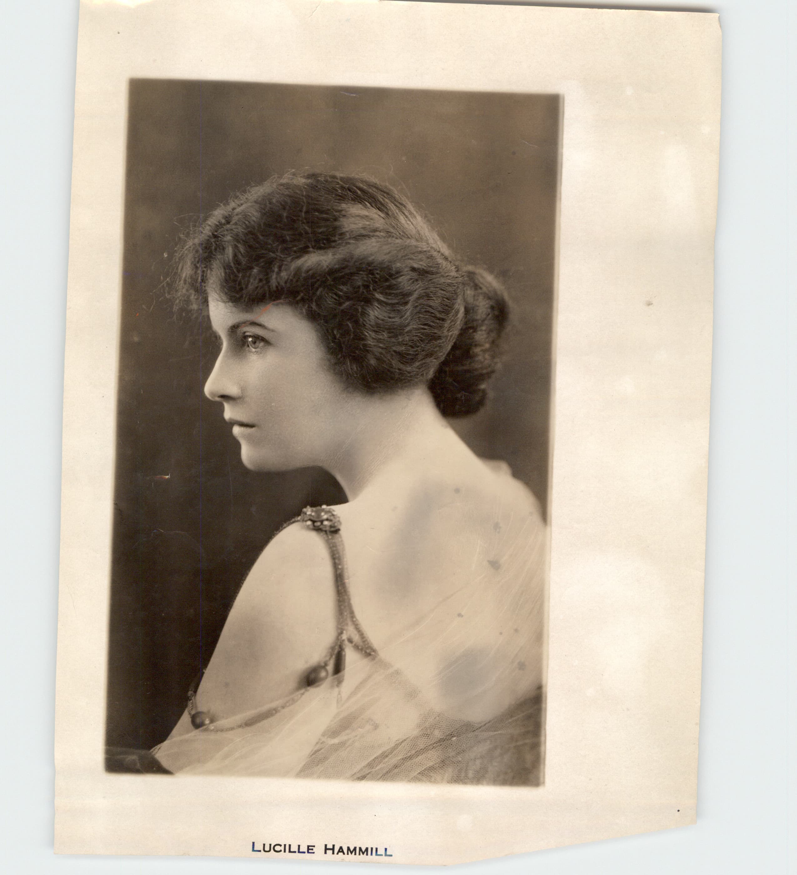 The Battle Cry of Peace photo