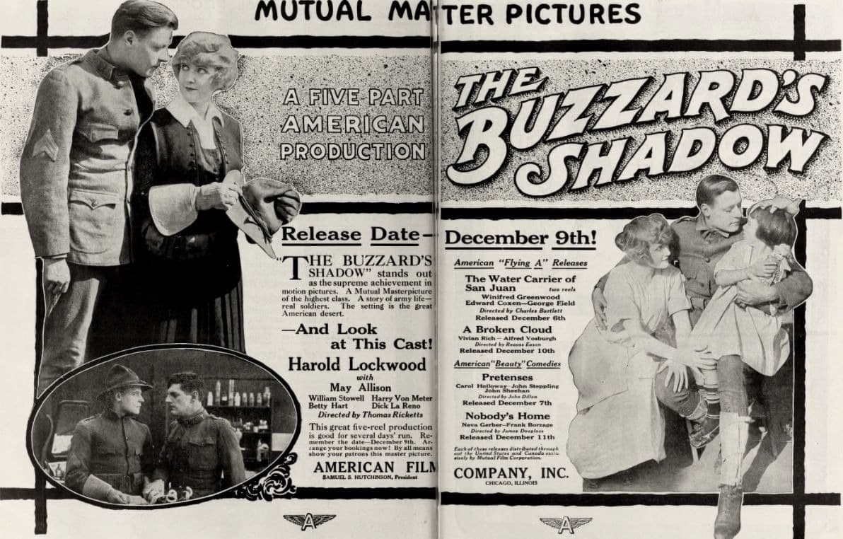 The Buzzard's Shadow