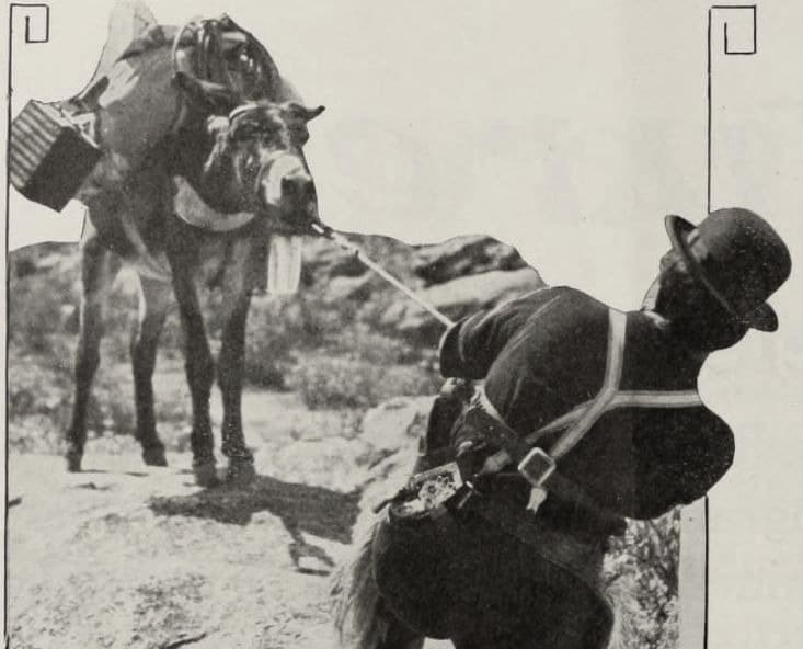 Chimmie Fadden Out West photo