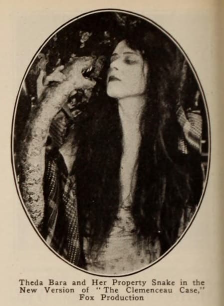 The Clemenceau Case photo