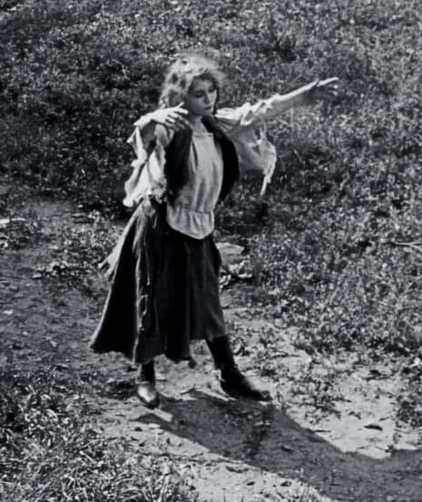 Fanchon, the Cricket photo