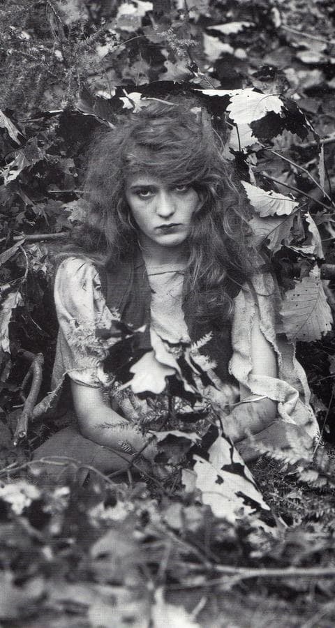 Fanchon, the Cricket photo