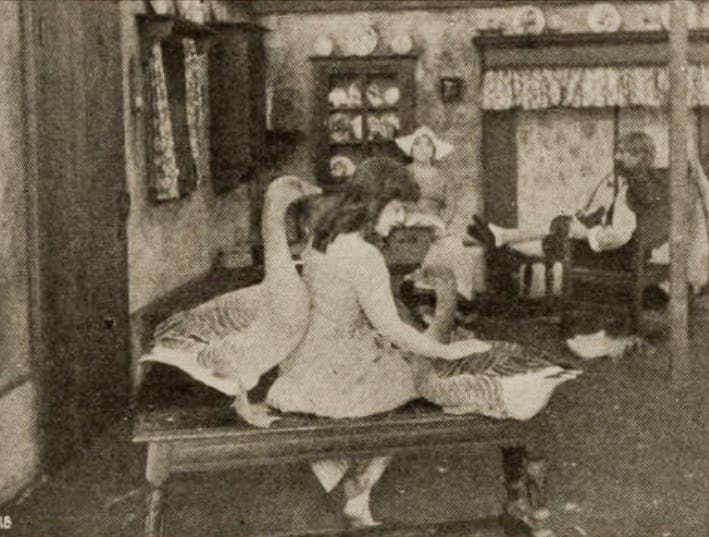 The Goose Girl photo