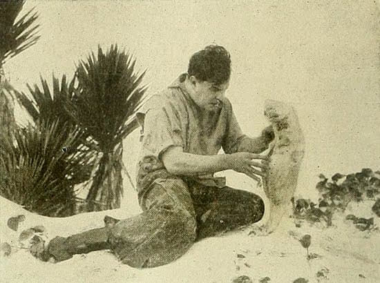 Life Without Soul photo