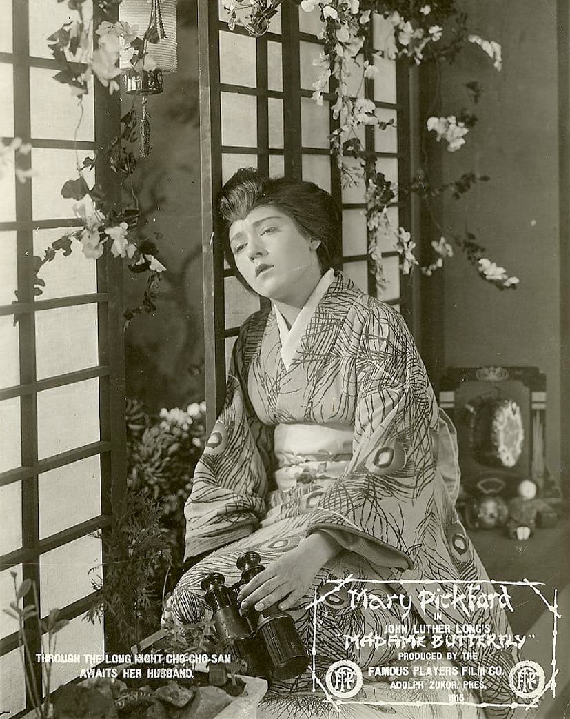 Madame Butterfly photo