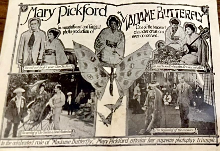 Madame Butterfly photo