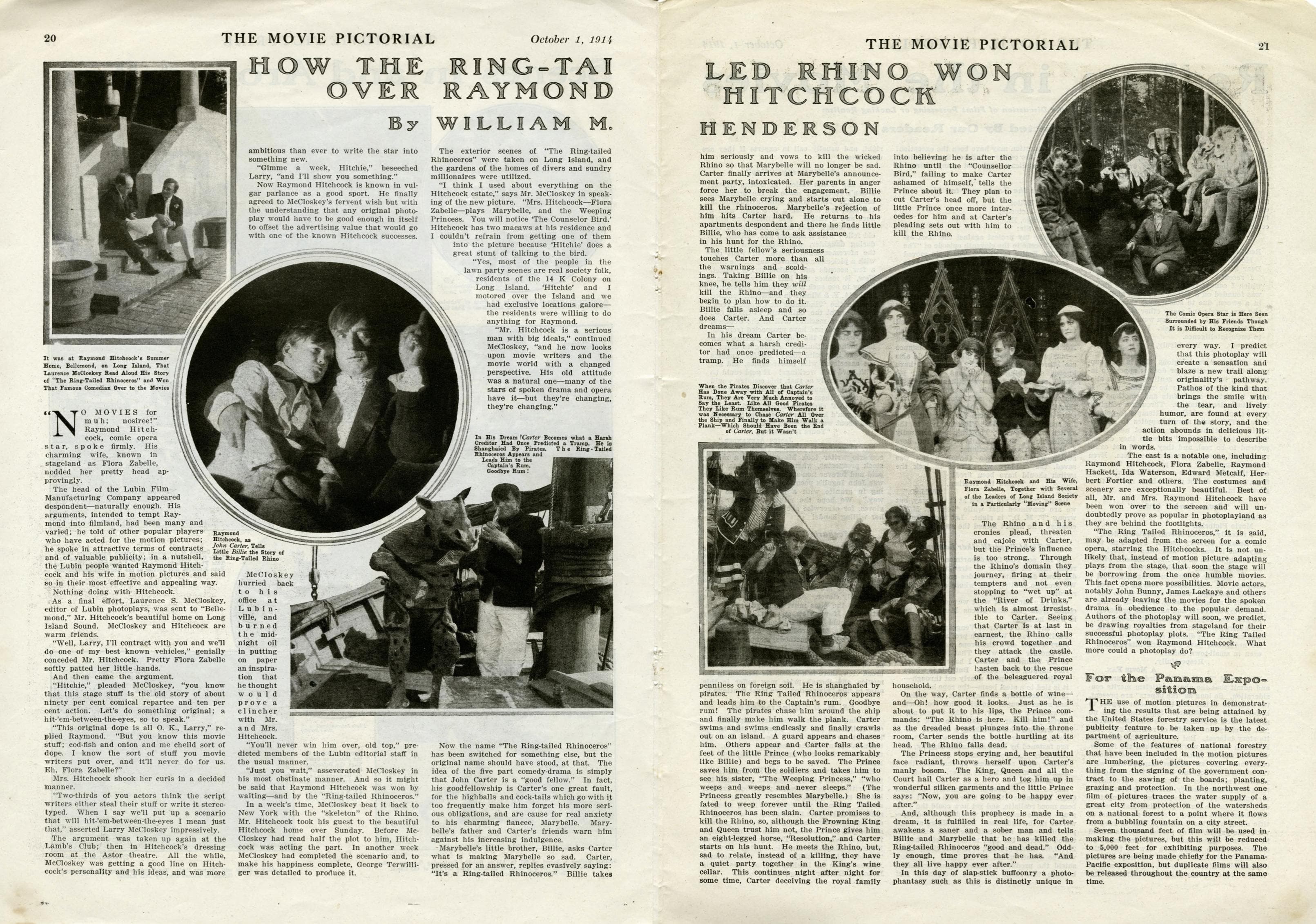 The Ringtailed Rhinoceros photo