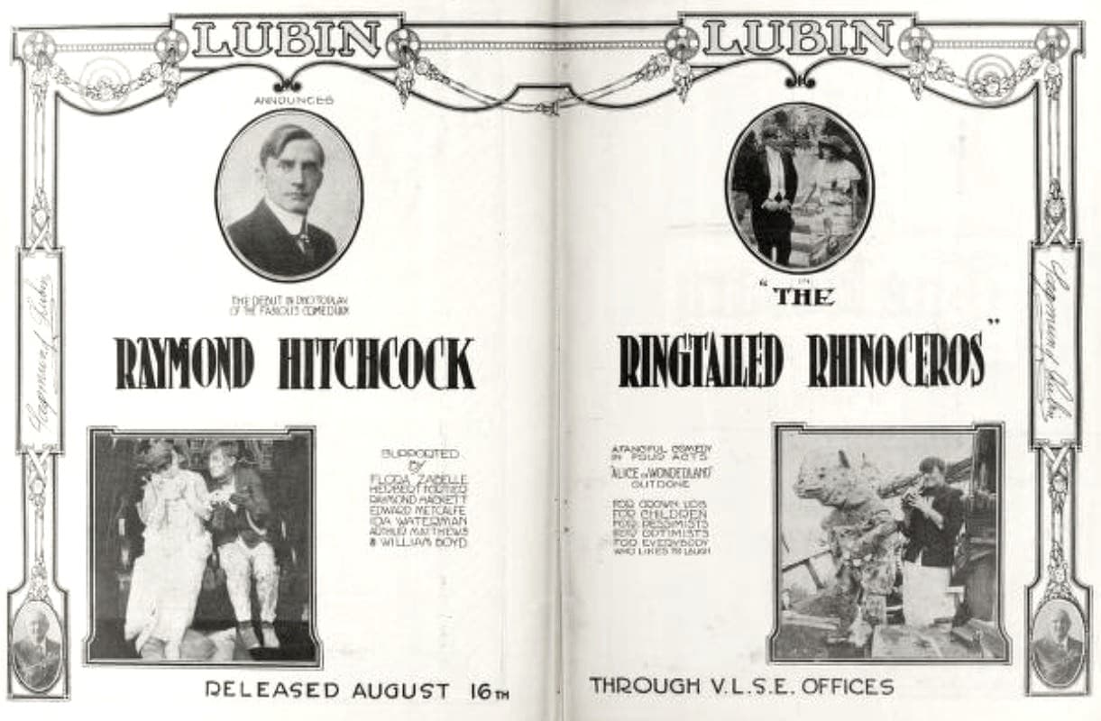 The Ringtailed Rhinoceros